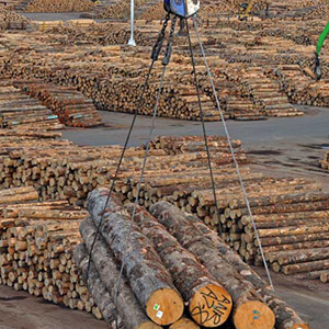 Jonathan Barran Forestry Photography, Forestry Photographer in Rotorua NZ